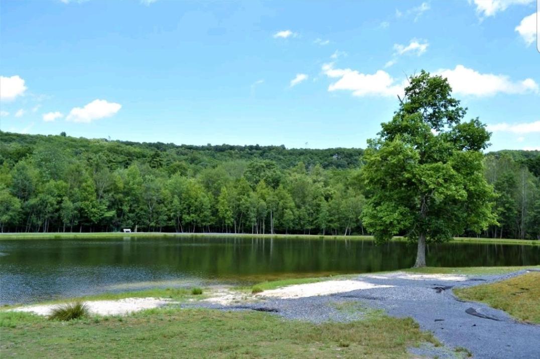 איסט סטרודסבורג *Amenity-Filled Waterfront Oasis @Saw Creek Estates Near Waterfalls And Hiking* מראה חיצוני תמונה